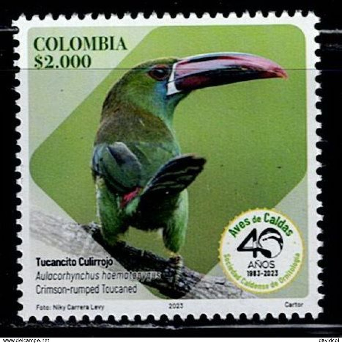 08I-KOLUMBIEN - 2023-MNH - CRIMSON-RUMPED TOUCANED- (AULACORHYNCHUS HAEMATOPYGUS)- REPRESENTATIVE BIRDS OF THE CALDAS DE - Colombie