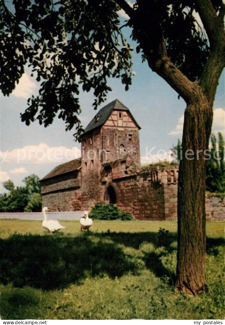 73201688 Bad Vilbel Burgruine Brunnen Heimatmuseum Bad Vilbel - Bad Vilbel