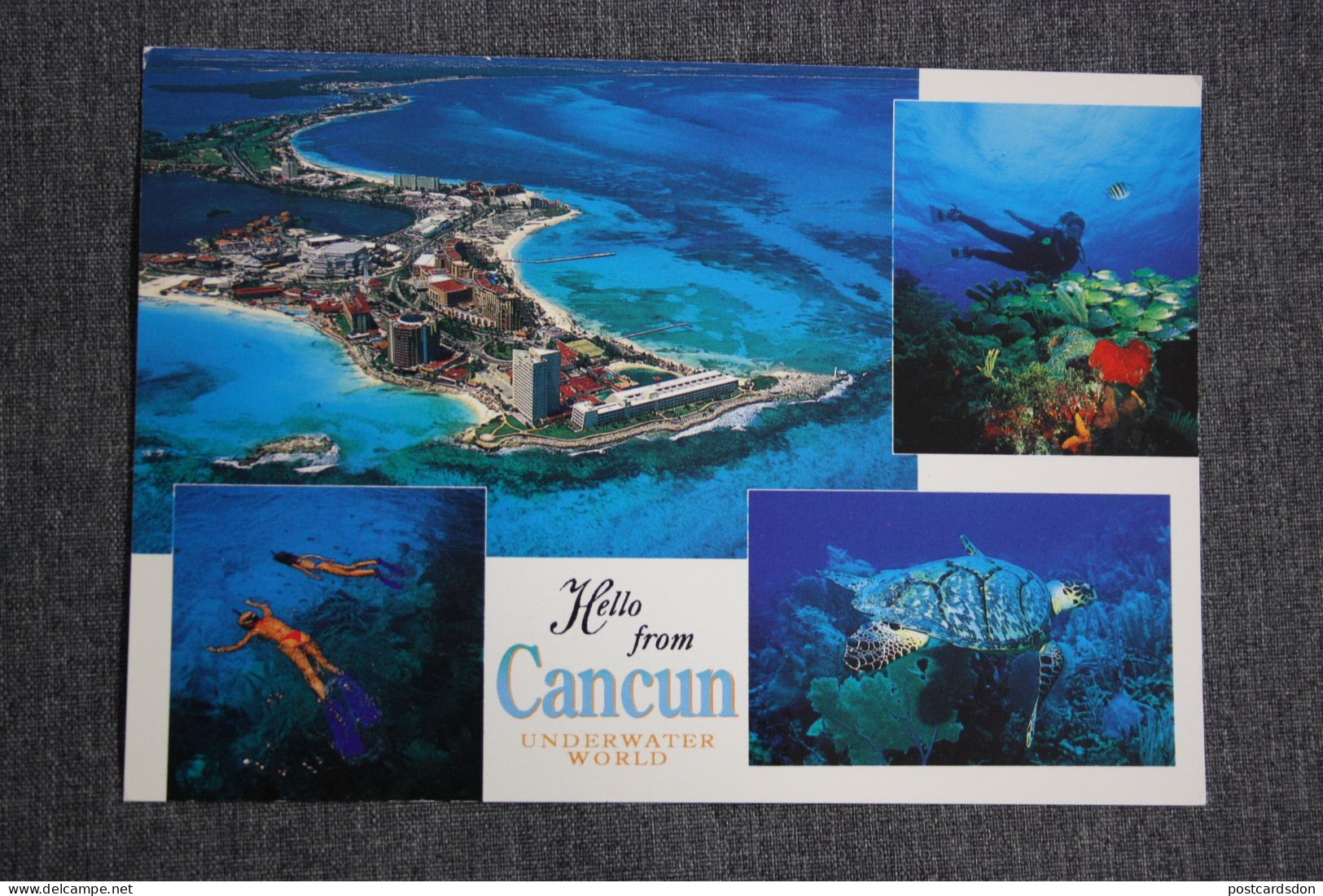 Cancun - Testudo - Turtle 1990s - Tortues
