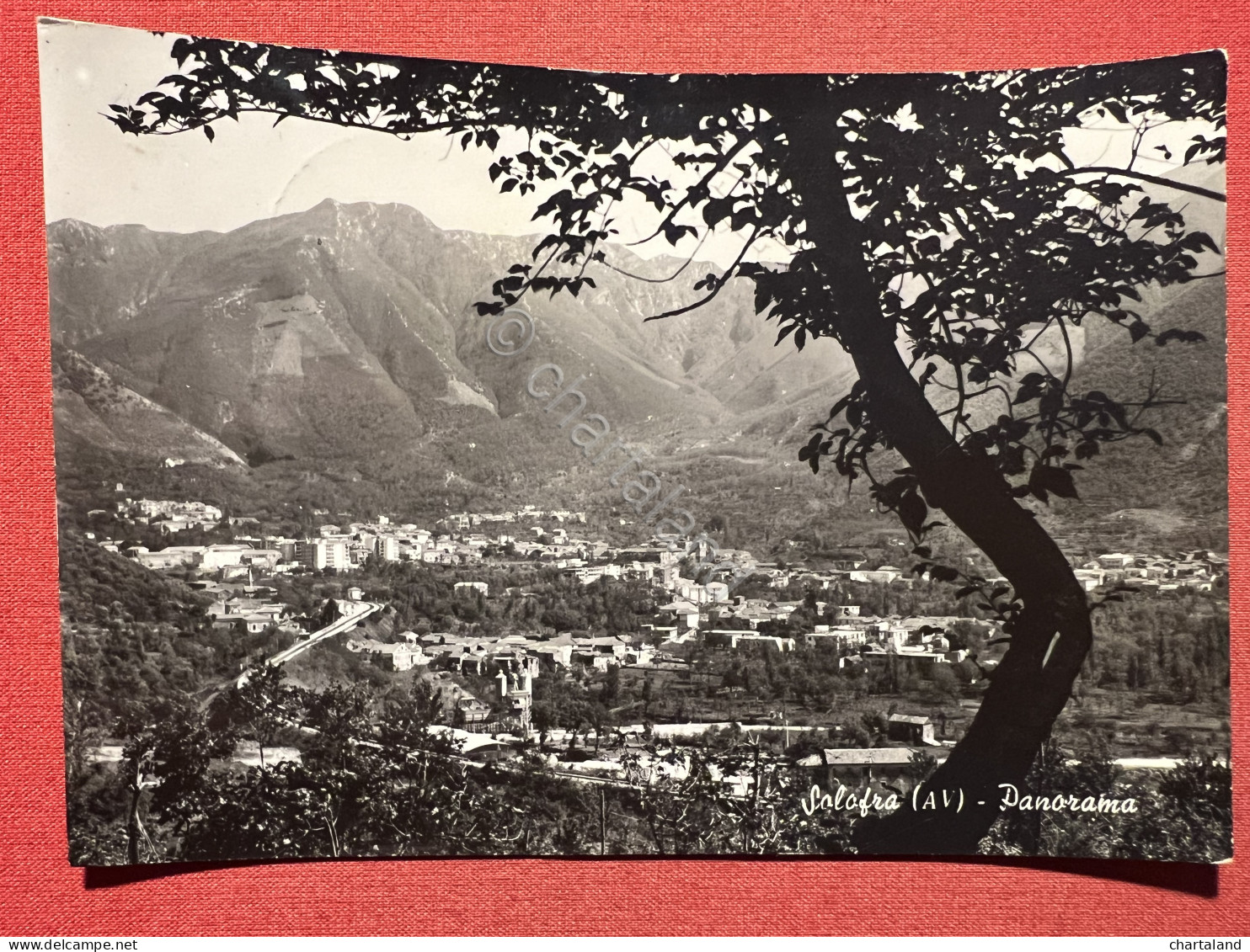 Cartolina - Solofra ( Avellino ) - Panorama - 1967 - Avellino