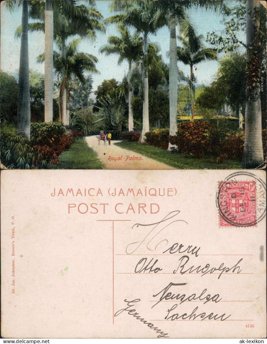 Postcard Kingston Straßenpartie - Royal Palms 1915 - Jamaica