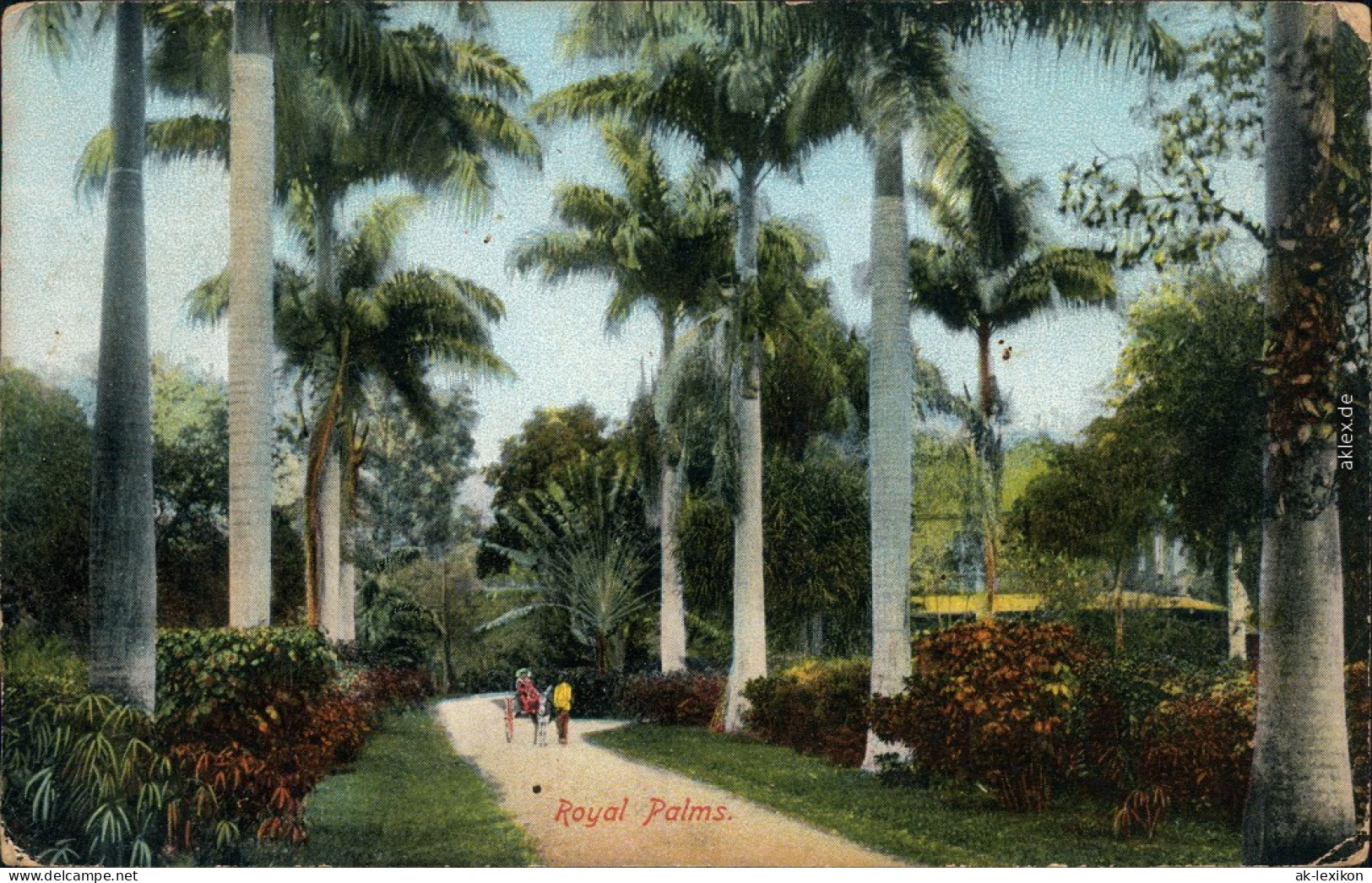 Postcard Kingston Straßenpartie - Royal Palms 1915 - Jamaïque