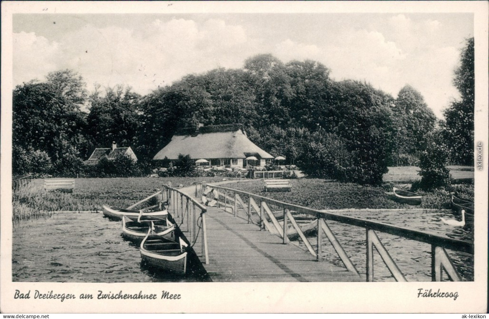 Dreibergen-Bad Zwischenahn Bootssteg Mit Ruderbooten Und Gasthaus  1954 - Bad Zwischenahn