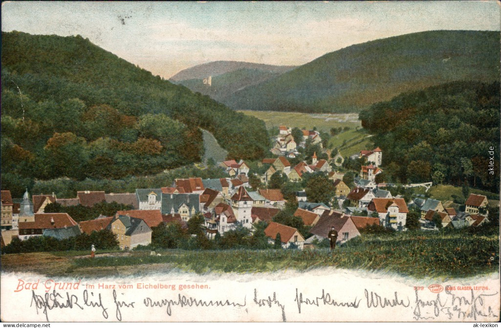 Ansichtskarte Bad Grund (Harz) Panorama-Ansicht 1904 - Bad Grund