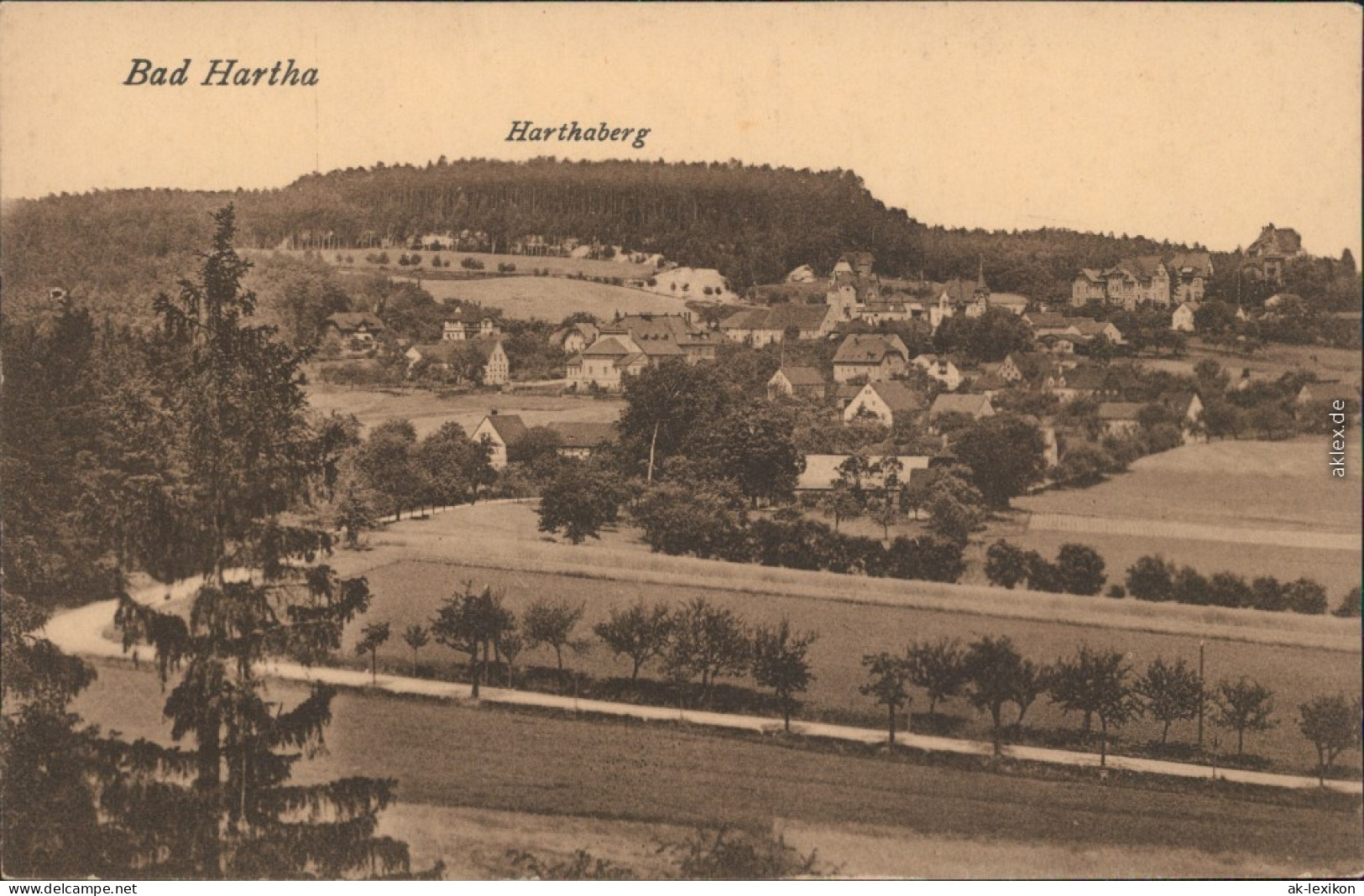 Ansichtskarte Hartha Panorama-Ansicht 1919 - Hartha