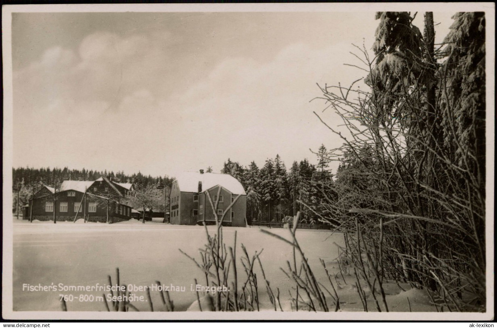 Ansichtskarte Holzhau-Rechenberg-Bienenmühle Fischers Gasthof Im Winter 1937 - Holzhau