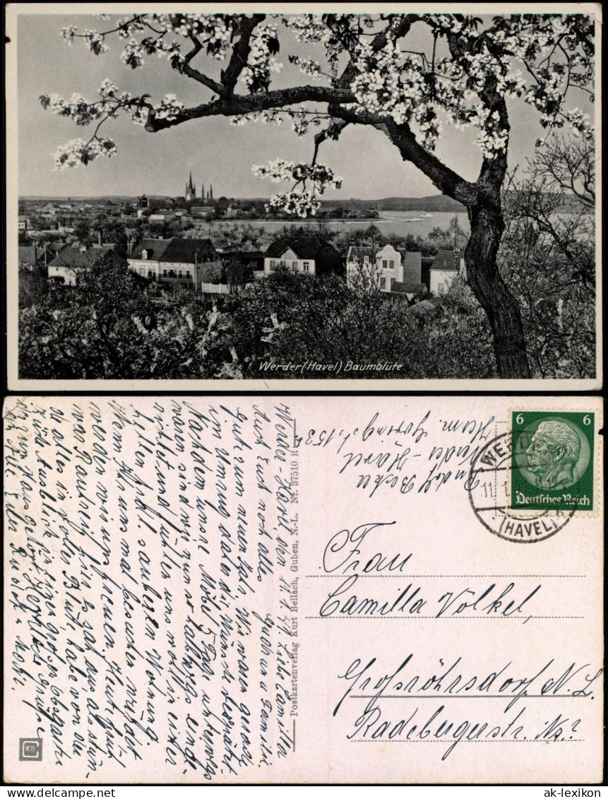 Ansichtskarte Werder (Havel) Panorama-Ansicht Zur Zeit Der Baumblüte 1941 - Werder