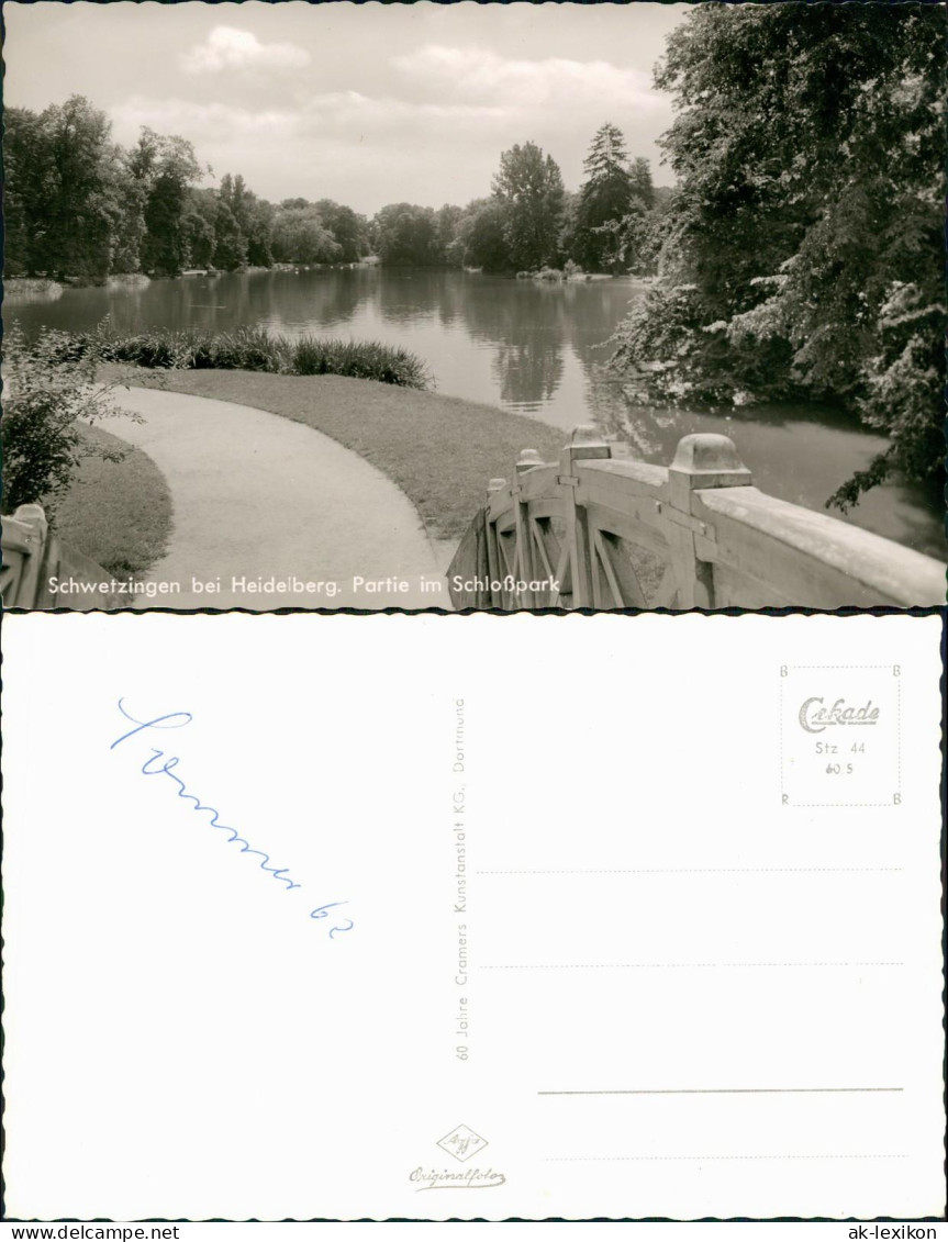 Ansichtskarte Schwetzingen Partie Im Schloßpark Schlossgarten 1962/1960 - Schwetzingen