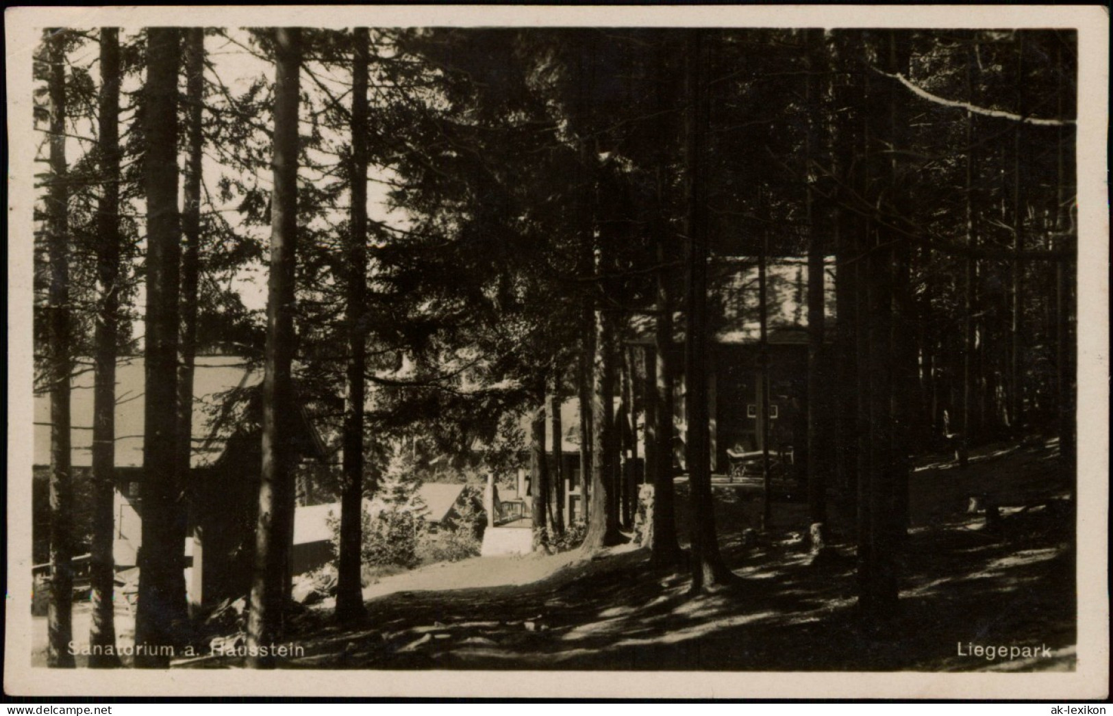 Ansichtskarte Deggendorf Liegepark Sanatorium Am Hausstein 19342 - Deggendorf
