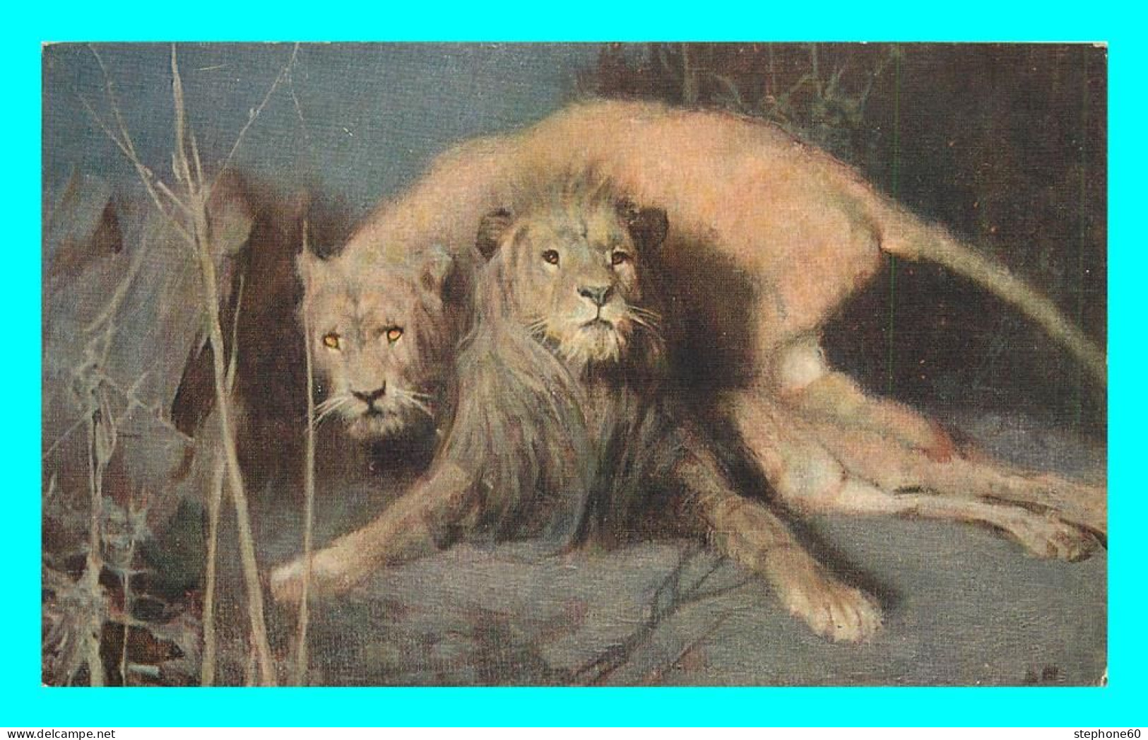 A794 / 361 LION Take STYKA Lions Effet De Nuit - Lion