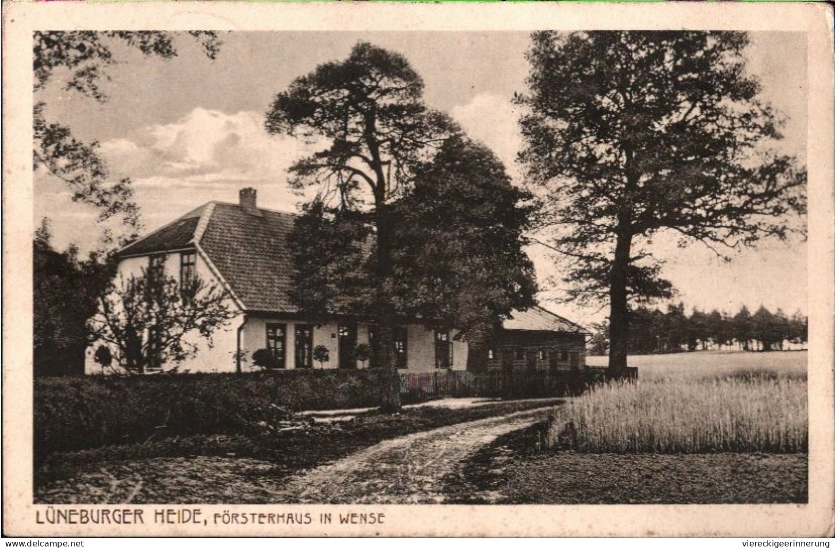 ! Alte Ansichtskarte Aus Der Lüneburger Heide, Försterhaus In Wense - Lüneburger Heide