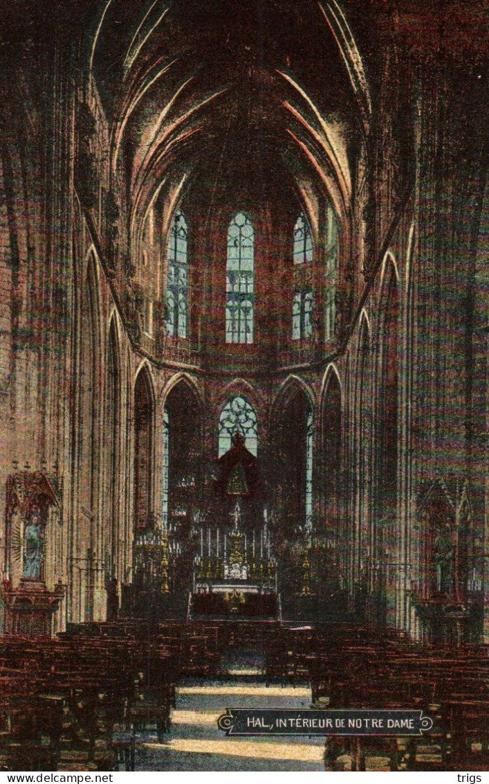 Hal - Intérieur De Notre Dame - Halle