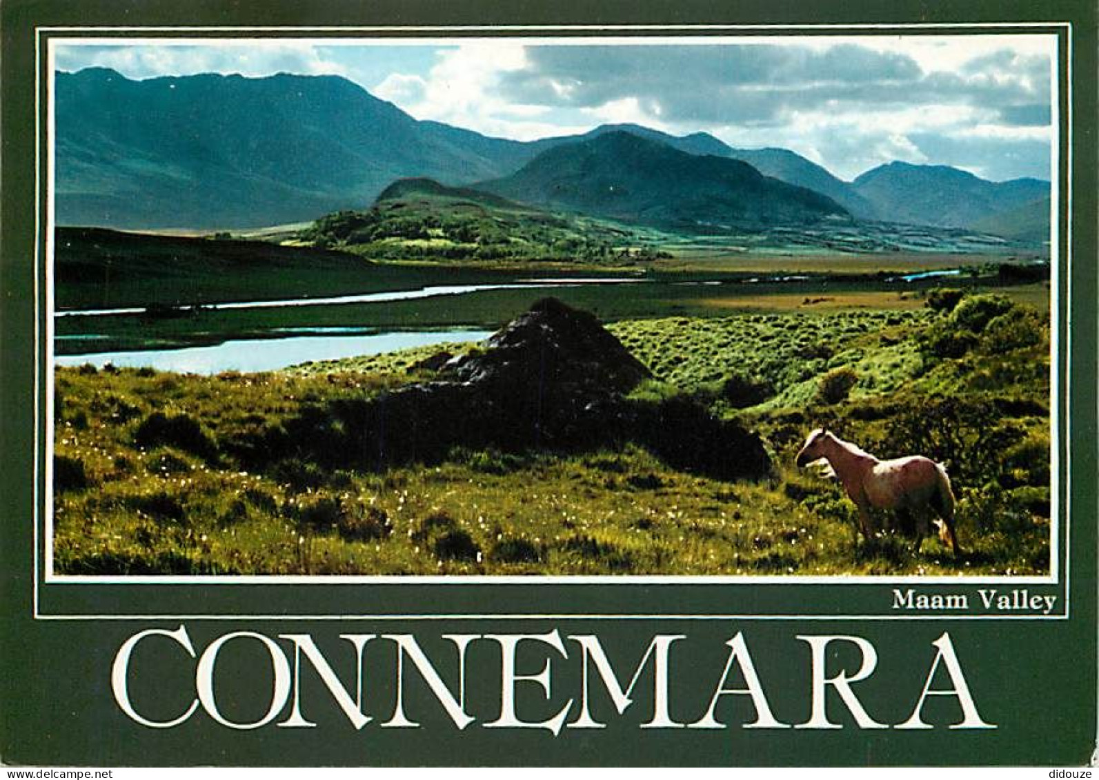 Irlande - Galway - Connemara - Maam Valley - Chevaux - Voir Timbre - Ireland - CPM - Voir Scans Recto-Verso - Galway