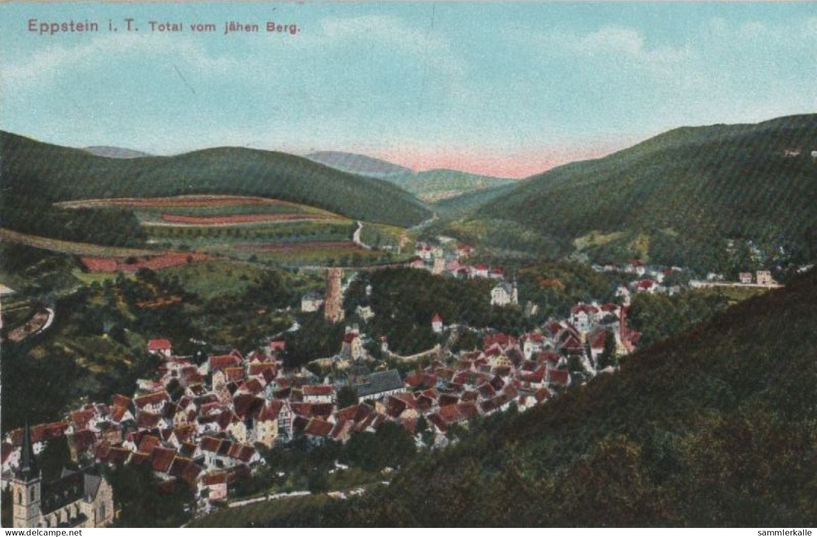 94445 - Eppstein - Total Vom Jähen Berg - Ca. 1920 - Hofheim