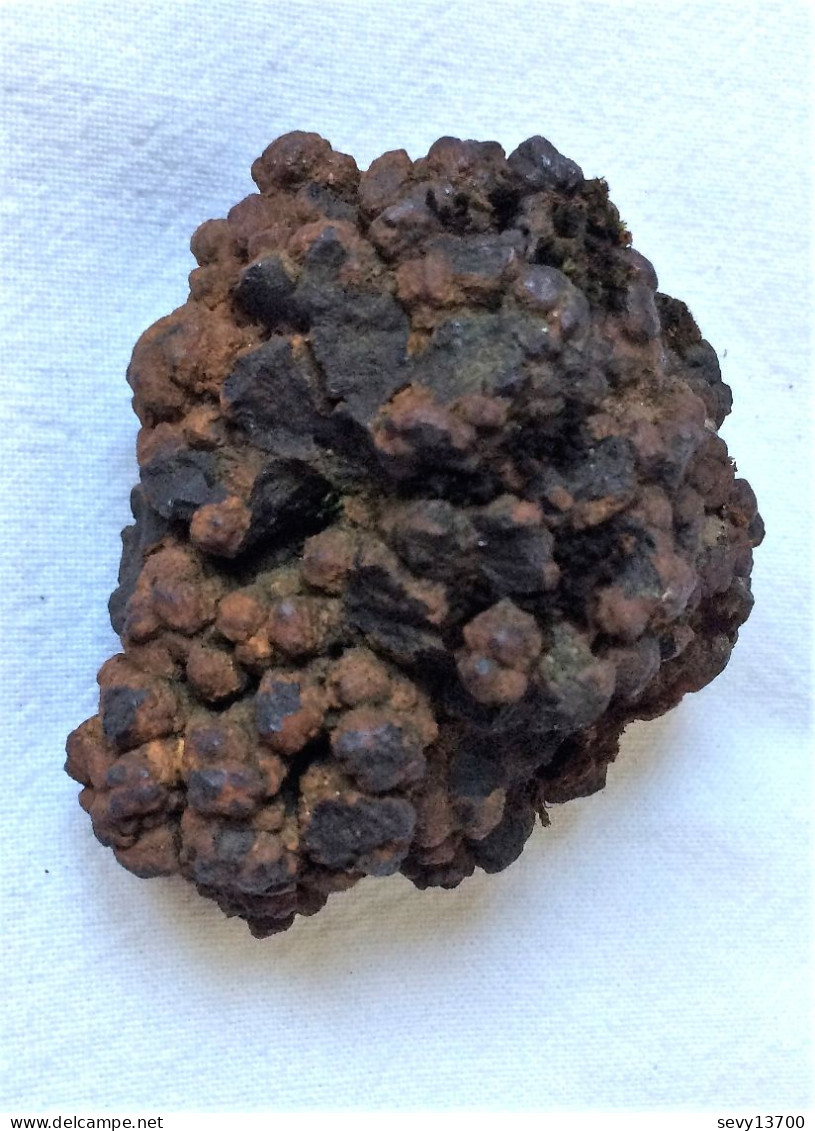 Coprolithe (excréments) 140 Grammes 5.5 Cm X 5 Cm X 3.5 Cm - Fossili