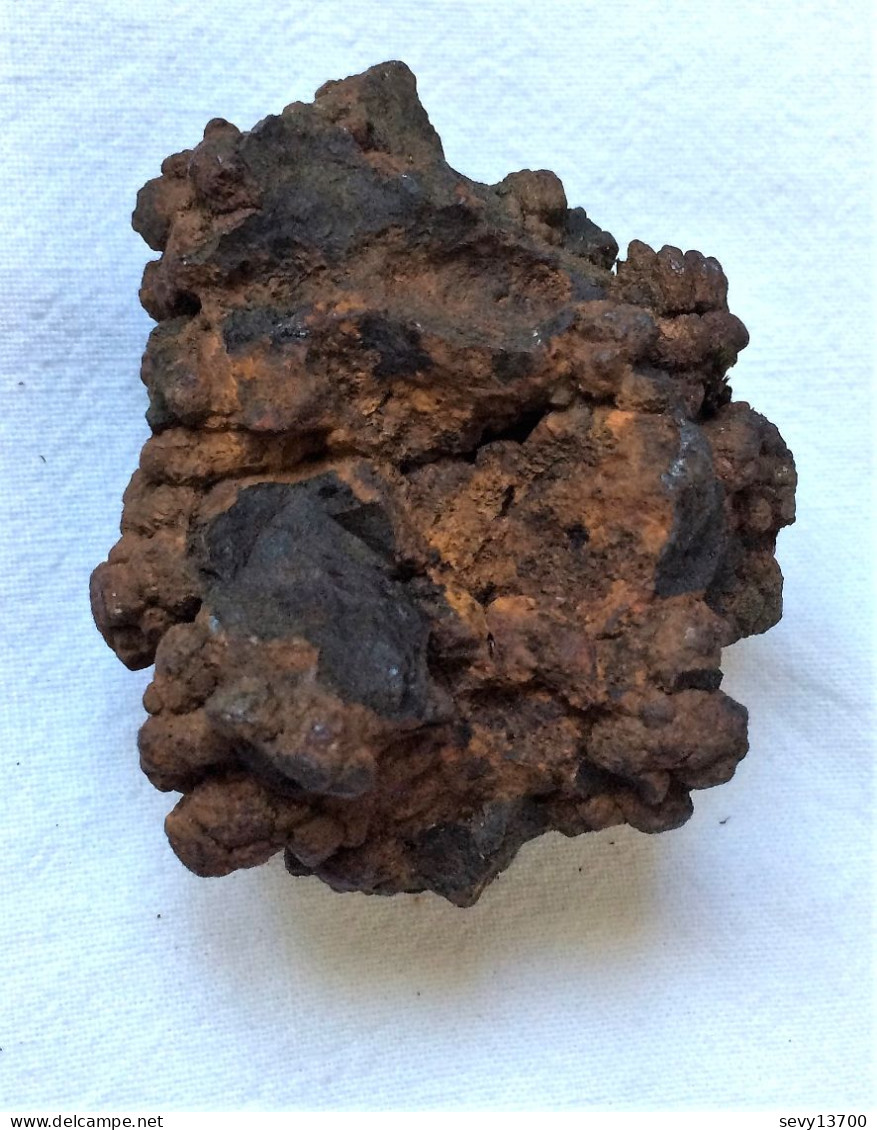 Coprolithe (excréments) 140 Grammes 5.5 Cm X 5 Cm X 3.5 Cm - Fossilien