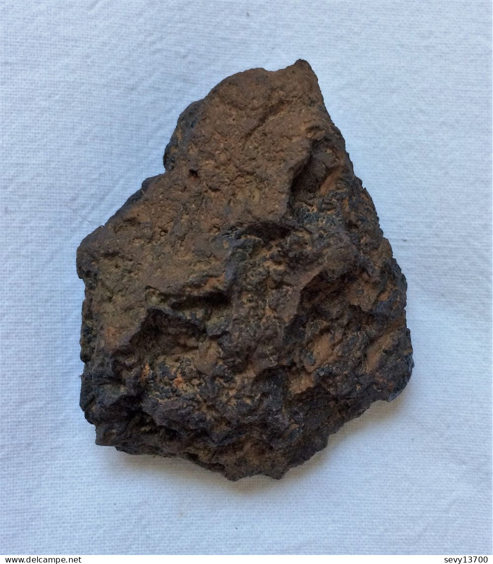 Coprolithe (excréments) 97 Grammes 6 Cm X 5 Cm X 2 Cm - Fossili