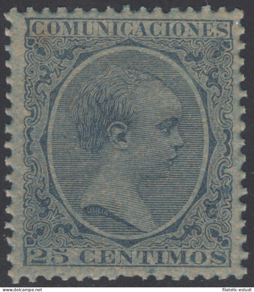 España Spain Variedad 221ib 1889/1899 Papel Azulado Afonso XIII 100€ - Autres & Non Classés