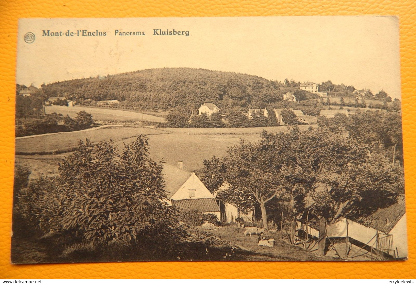 MONT-de-l'ENCLUS  -  KLUISBERG  -  Panorama - Mont-de-l'Enclus