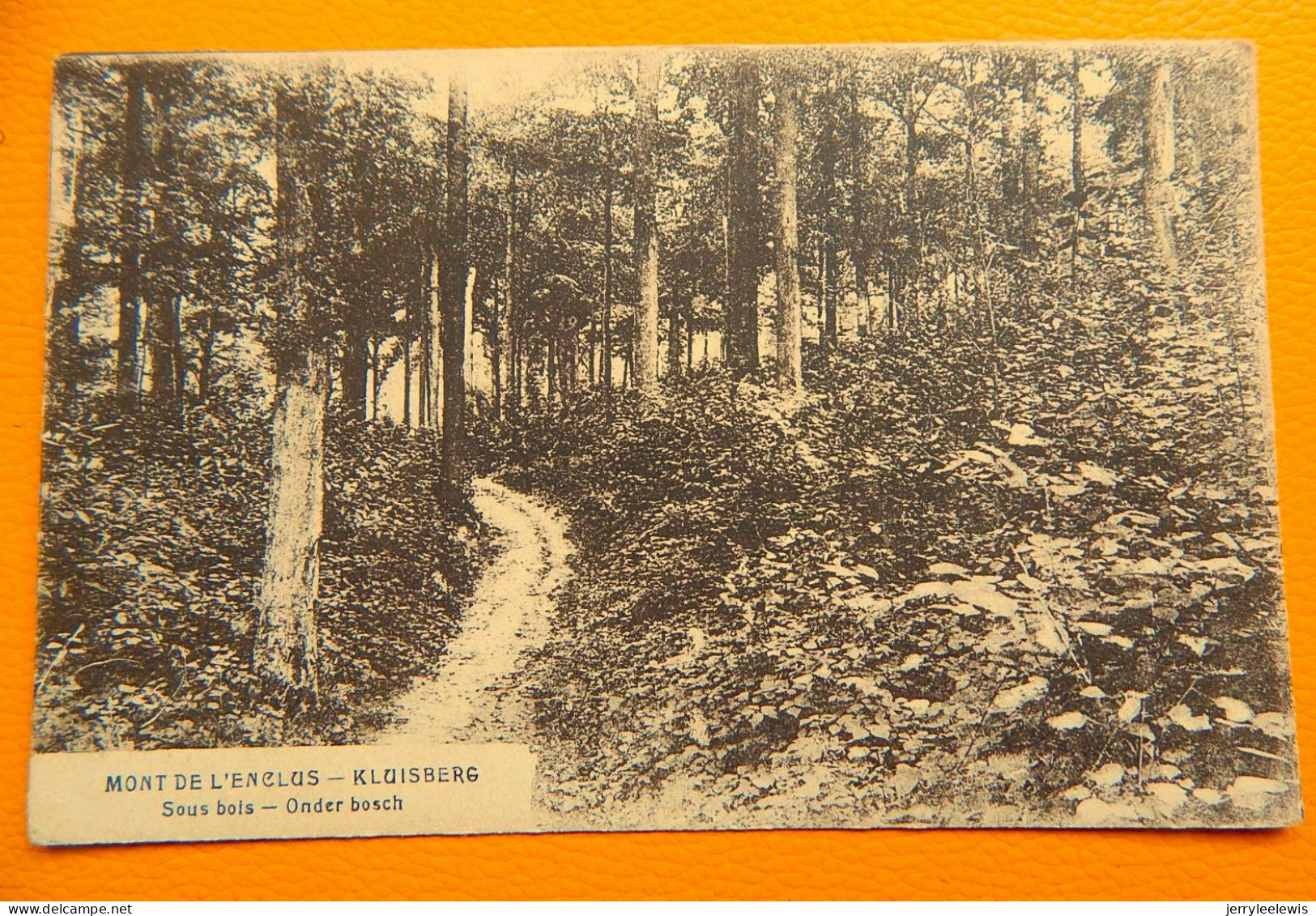 MONT-de-l'ENCLUS  -  KLUISBERG  - Sous-bois -  Onder Bos - Kluisbergen