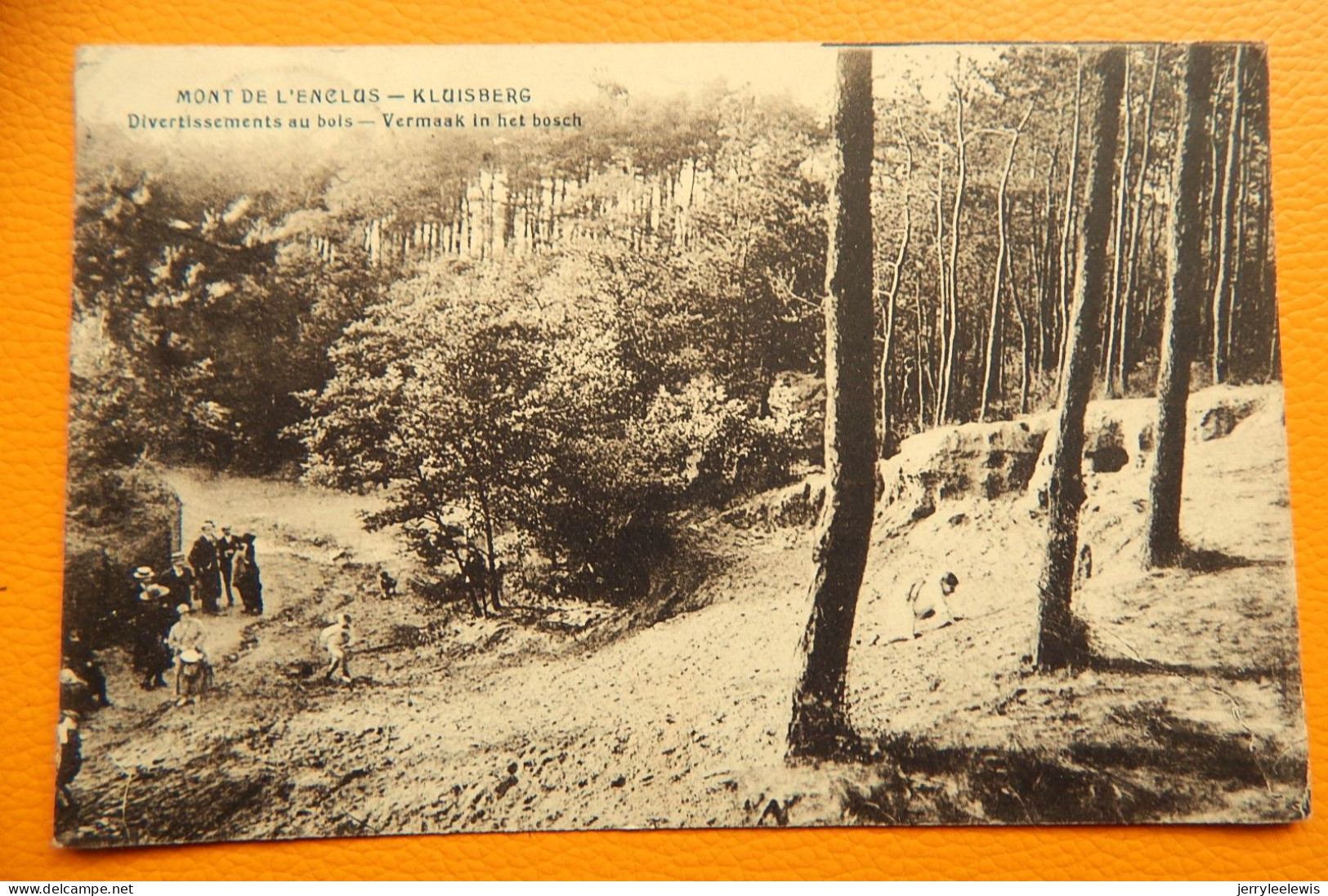 MONT-de-l'ENCLUS  -  KLUISBERG  -  Divertissements Au Bois  - Vermaak In Het Bos - Mont-de-l'Enclus