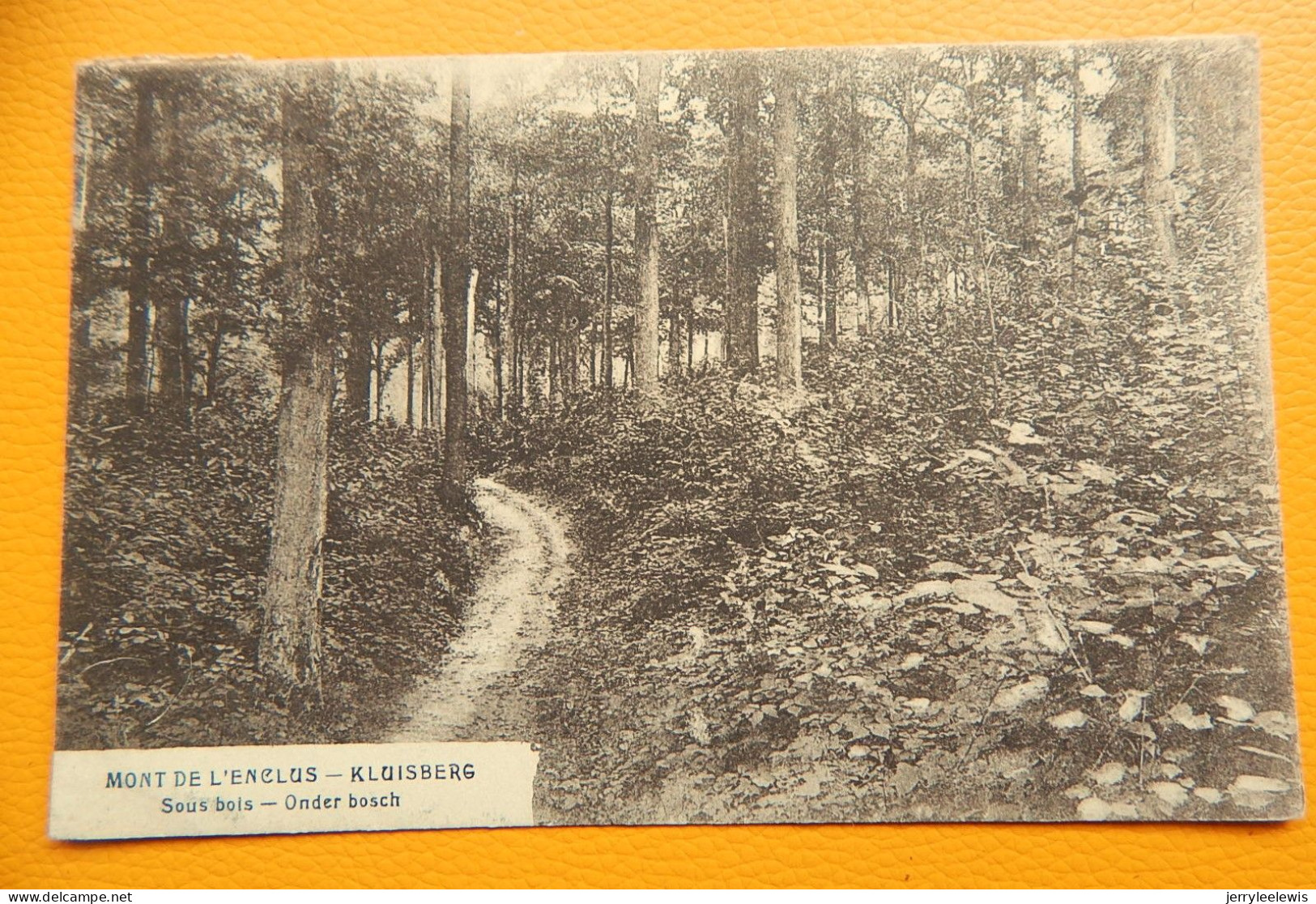 MONT-de-l'ENCLUS  -  KLUISBERG  -  Sous-bois  -  Onder Bos - Kluisbergen