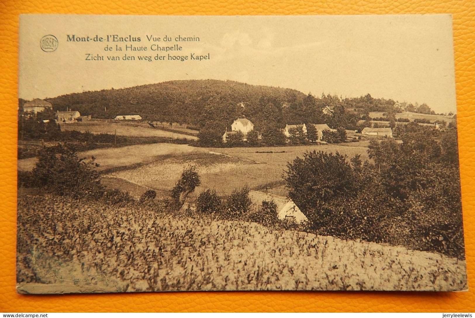 MONT-de-l'ENCLUS  -  KLUISBERG  - Vue Du Chemin De La Haute Chapelle - Zicht Van Den Weg Der Hooge Kapel - Mont-de-l'Enclus