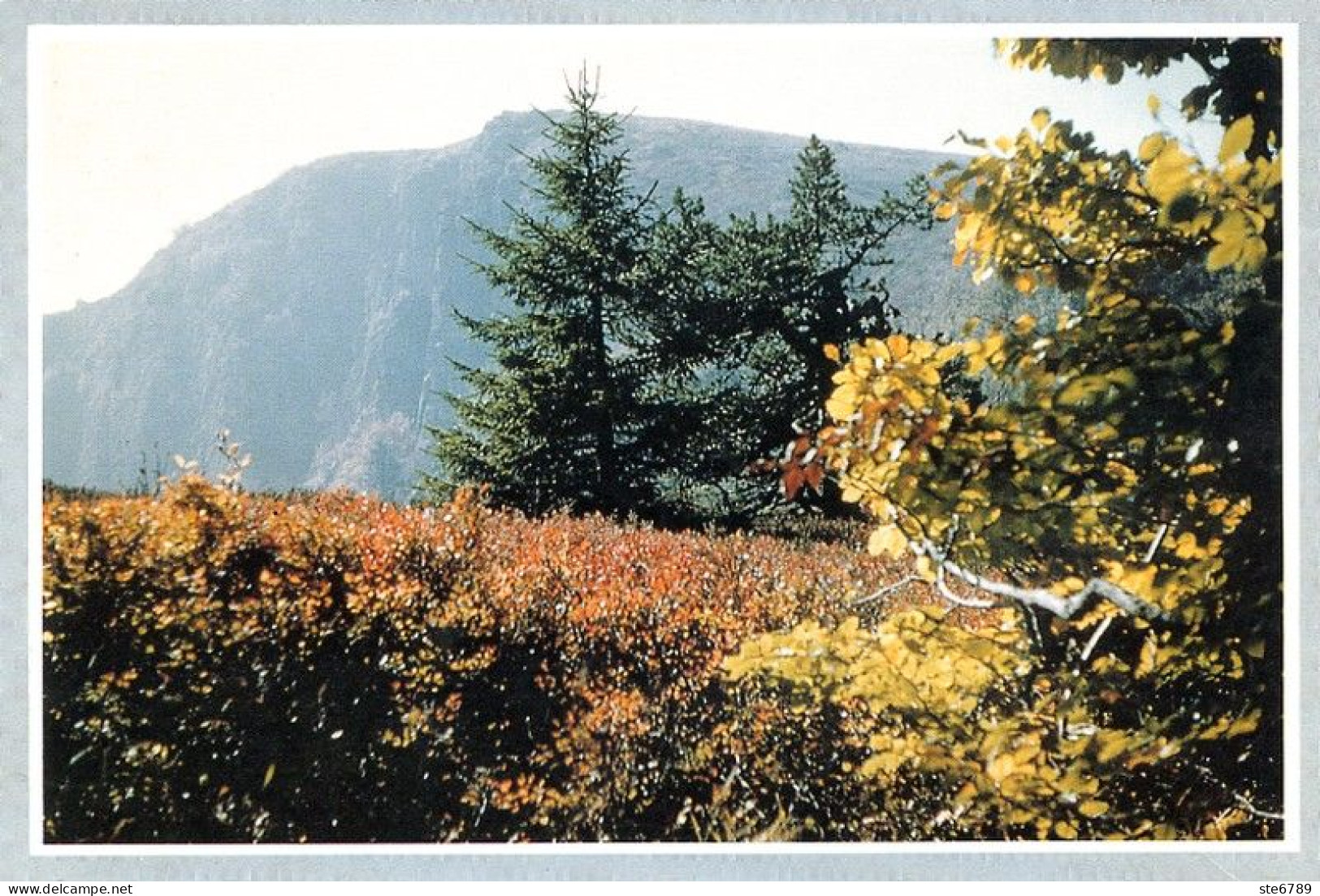 LES VOSGES Revue Club Vosgien 1992 N° 3 Tunnel Ferroviaire Bussang , Faucon Pelerin , Wangenbourg , Petit Géroldseck - Lorraine - Vosges