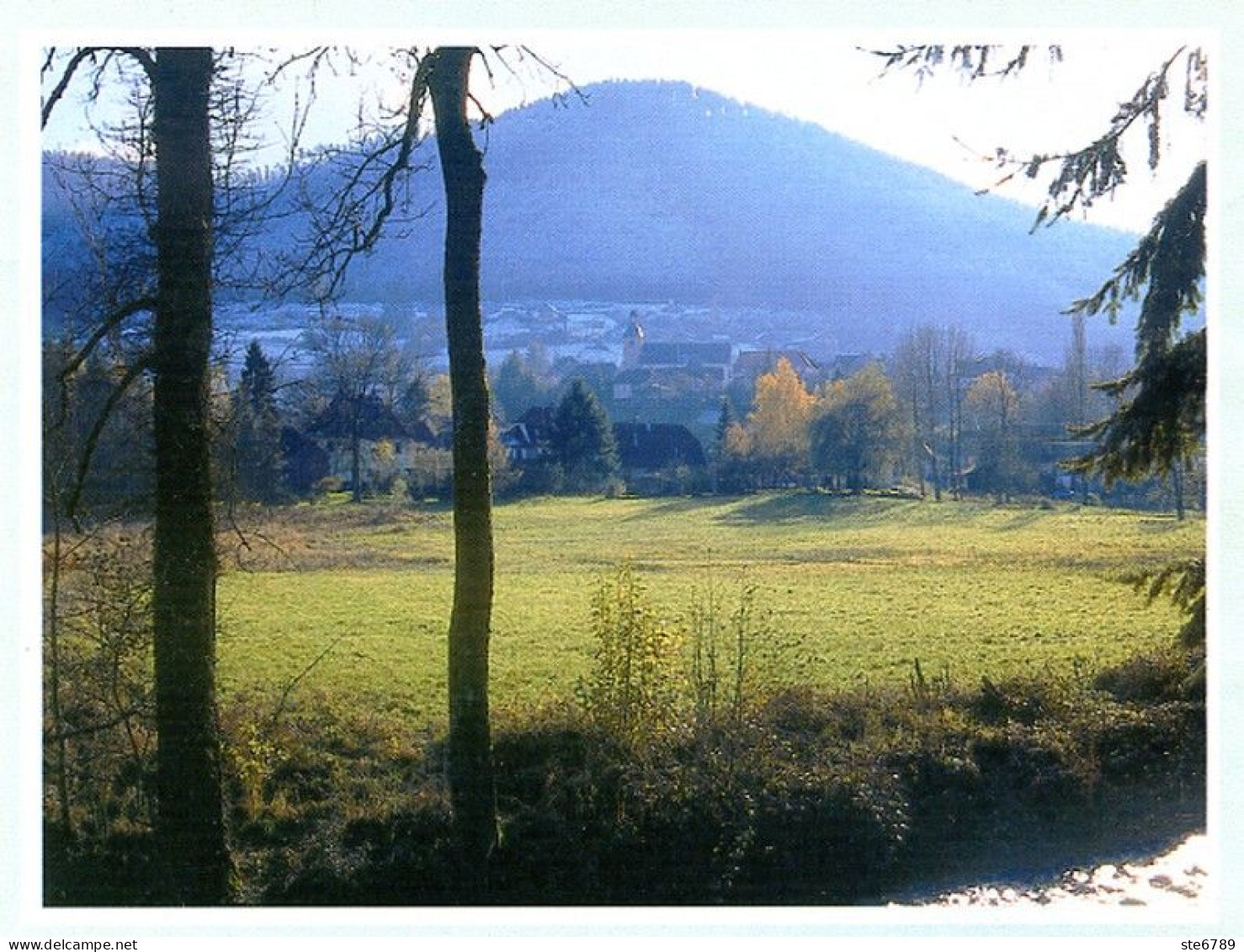 LES VOSGES Revue Club Vosgien 2001 N° 1 Saverne , Ouragan 1739 , Bertrichamps ,Chatillon Sur Saone , - Lorraine - Vosges