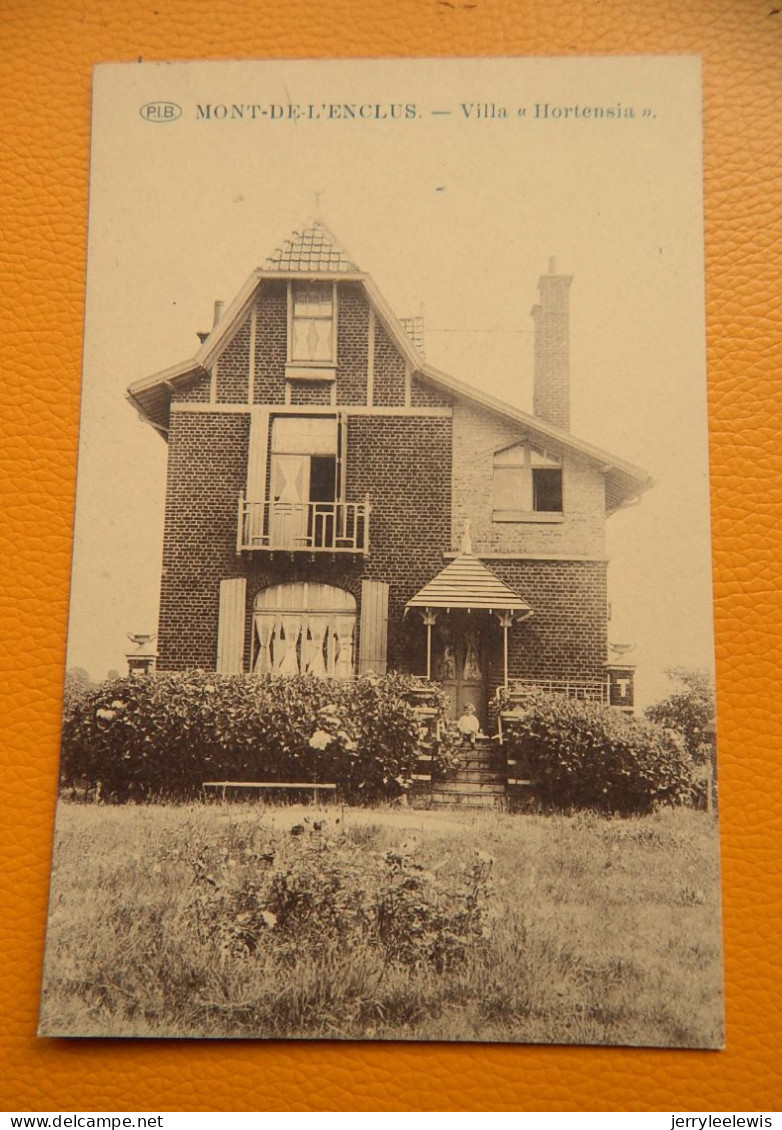 MONT-de-l'ENCLUS  -  KLUISBERG  -  Villa " Hortensia  " - Kluisbergen