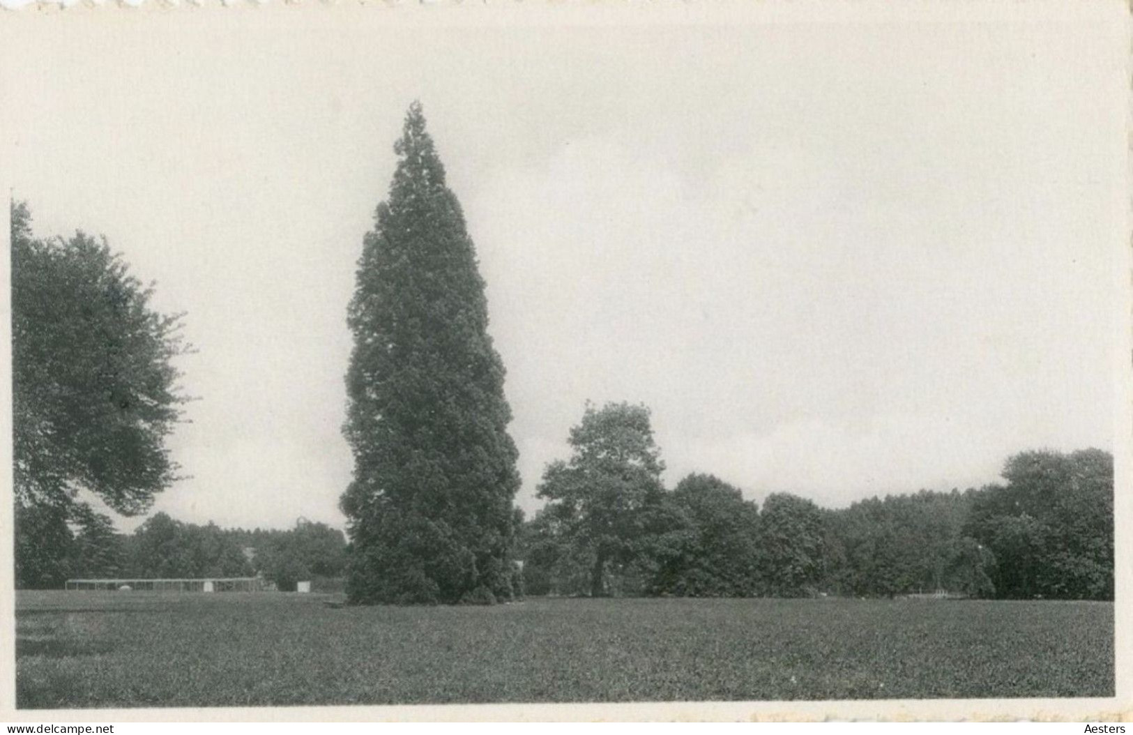 Liège; Huy, 12 Cartes Postales différentes - 2 voyagé / 10 non voyagé. (24 scans)