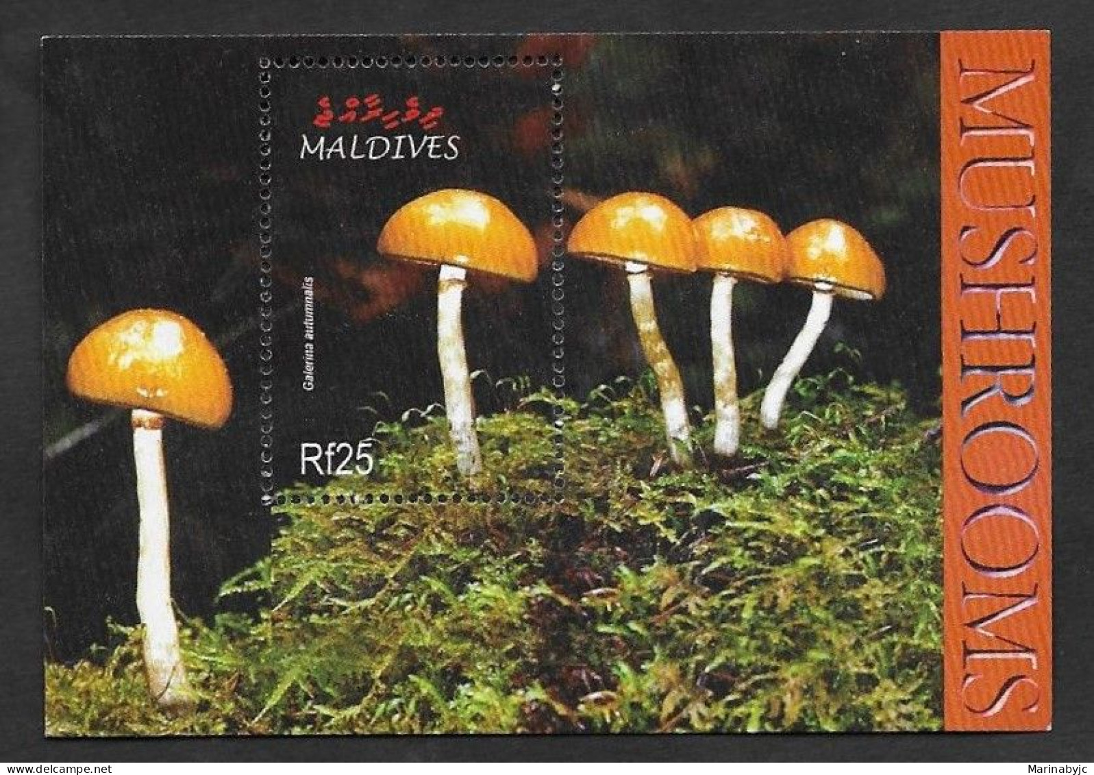 SE)2004 MALDIVES, FROM THE MUSHROOMS SERIES, GALERINA MARGINADA, SS, MNH - Maldivas (1965-...)