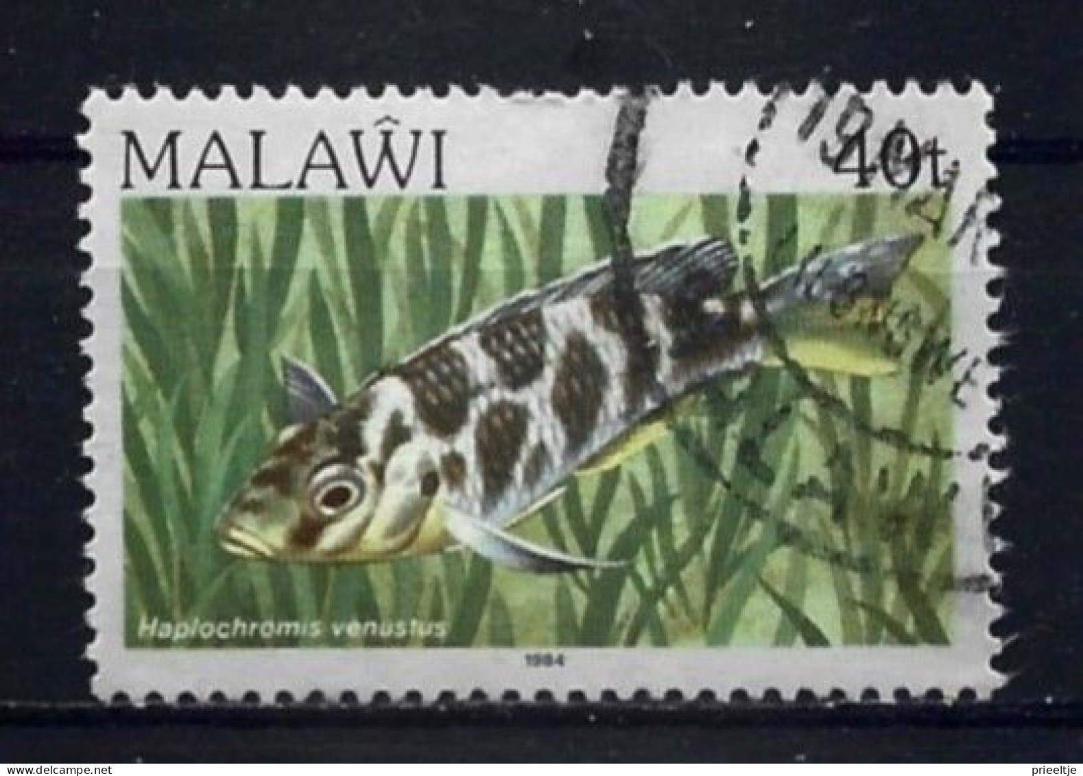 Malawi 1984 Fish  Y.T. 422 (0) - Malawi (1964-...)