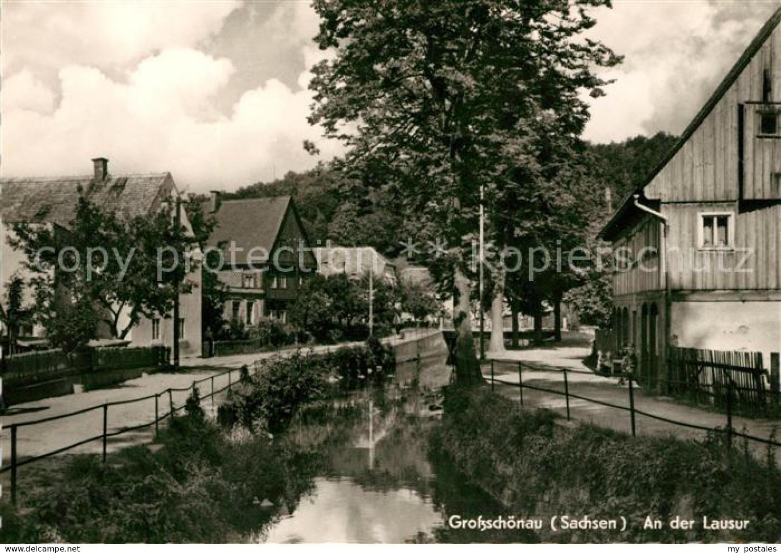 73033602 Grossschoenau Sachsen Lausur Grossschoenau Sachsen - Grossschoenau (Sachsen)