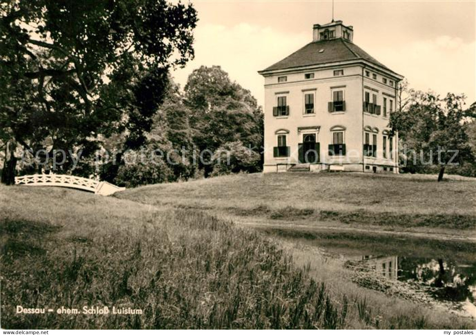 73032484 Dessau-Rosslau Schloss Luisium Dessau-Rosslau - Dessau