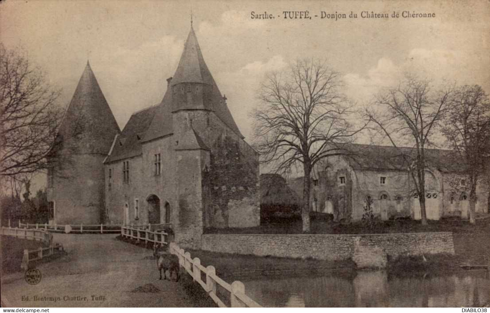 TUFFE   ( SARTHE )   DONJON DU CHATEAU DE CHERONNE - Tuffe