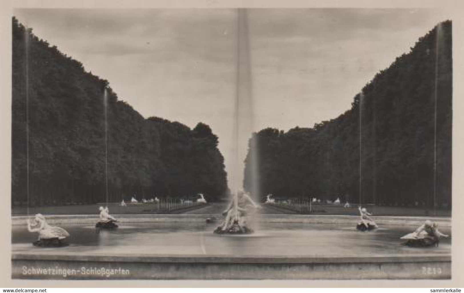 6972 - Schwetzingen - Schlossgarten - Ca. 1955 - Schwetzingen