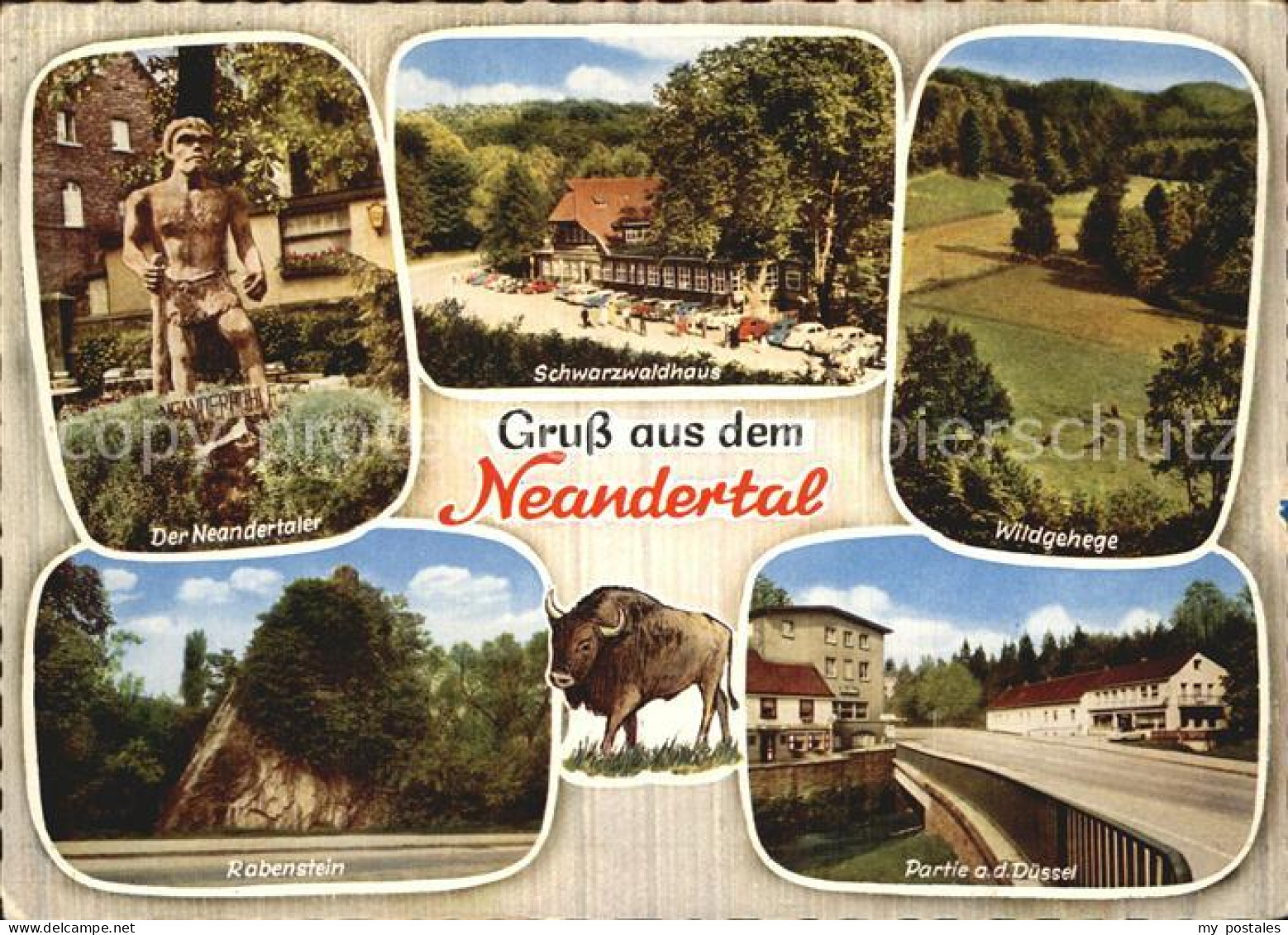 72533479 Neandertal Der Neandertaler Schwarzwaldhaus Rabenstein Wildgehege Parti - Mettmann