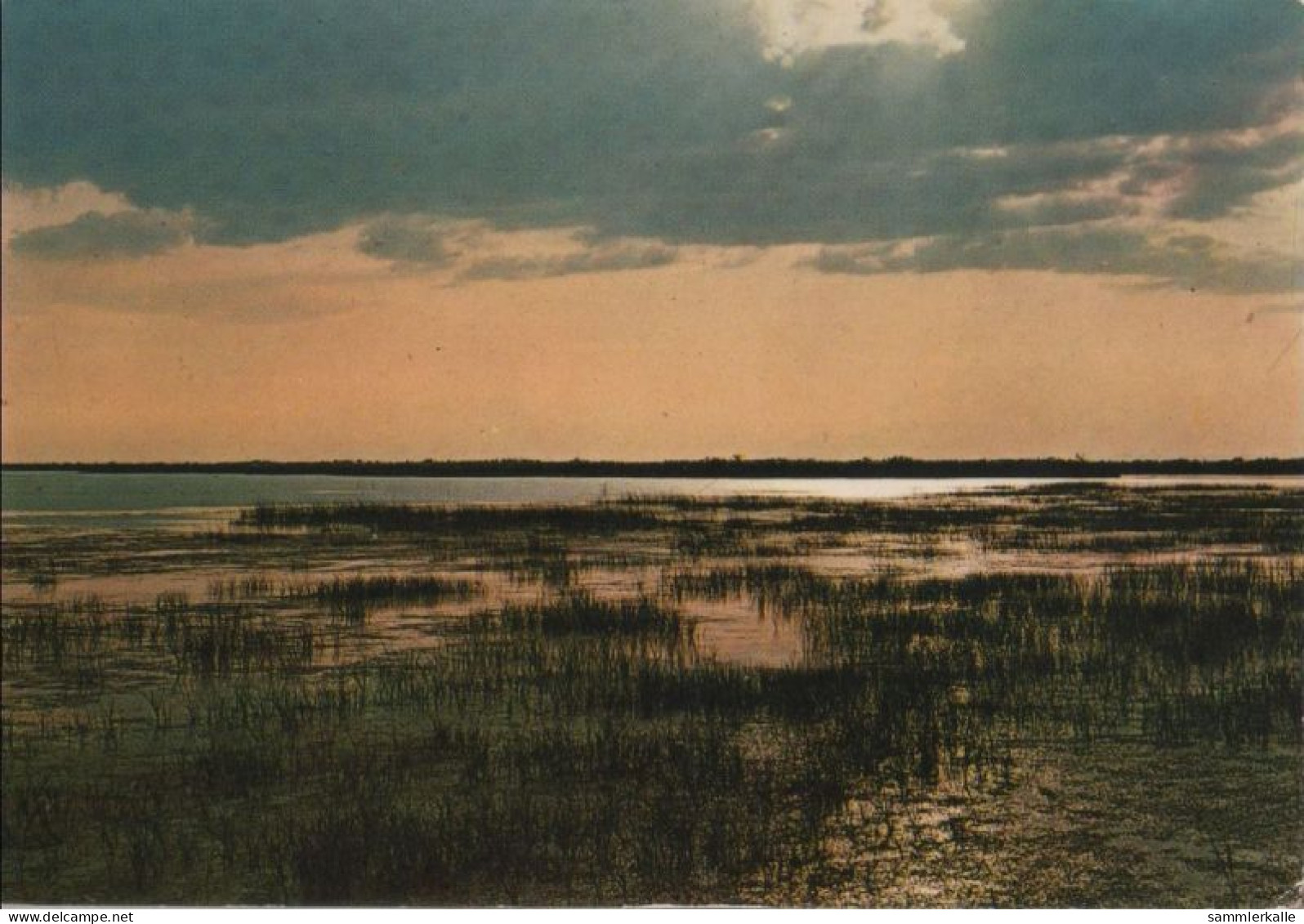 89923 - Frankreich - Camargue - Soleil Couchant - Ca. 1980 - Autres