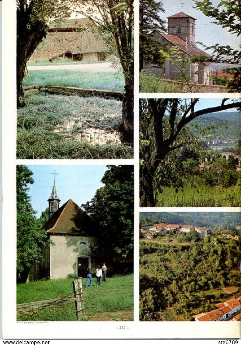 LA REVUE LORRAINE POPULAIRE N° 17 1977  Sierck , Bosserville Chartreuse , Moncel , Trams Nancy , Pierre La Treiche - Lorraine - Vosges