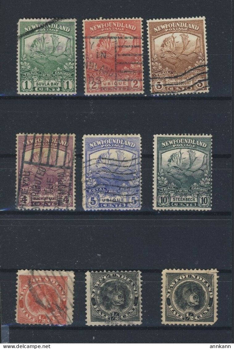 9x Newfoundland Used Stamps 6x Caribou & 3x Newfoundland Dogs GV= $36.00 - Fine Di Catalogo (Back Of Book)