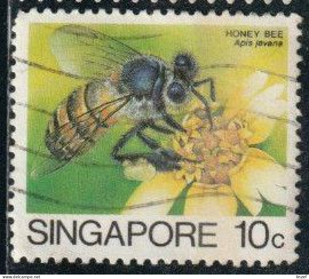 Singapour 1985 Yv. N°456 - Abeille Apis Javana - Oblitéré - Singapour (1959-...)