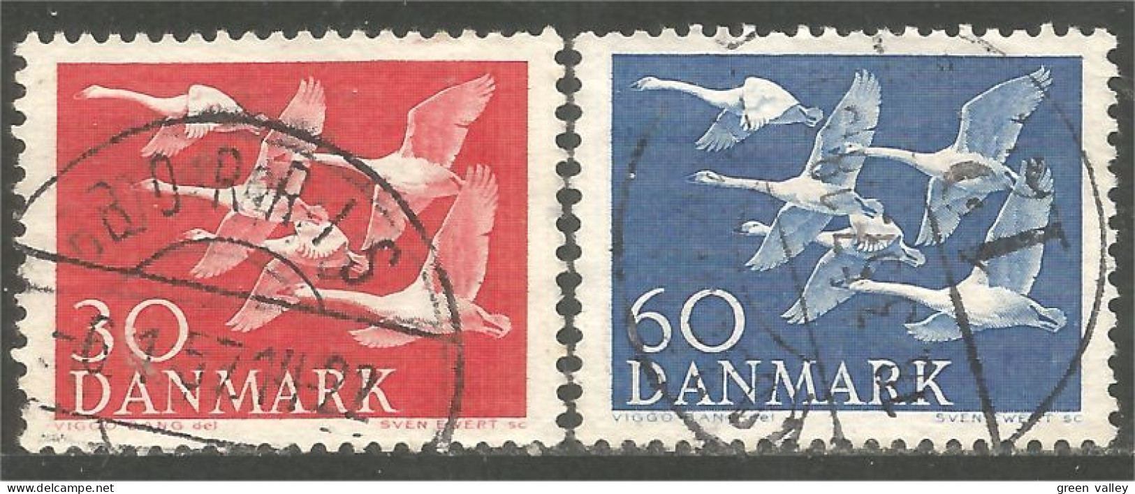 300 Denmark Oie Goose Geese Gans Oca Ganso (DMK-131) - Geese