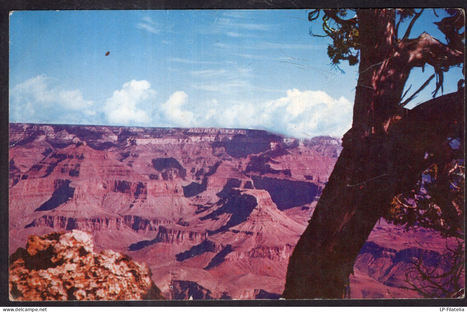 United States - Arizona - Grand Canyon National Park - Gran Cañon