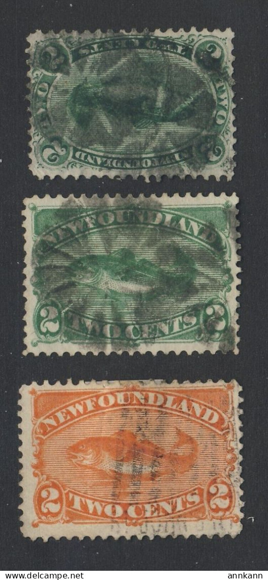 3x Newfoundland Used Stamps; #24-2c F #47-2c F/VF #48-2c F/VF = $82.50 - 1865-1902