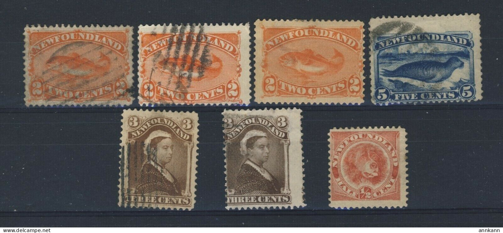 7x Newfoundland Stamps 3x Codfish #48-48b-47 Seal Dog Guide Value = $97.00 - 1865-1902