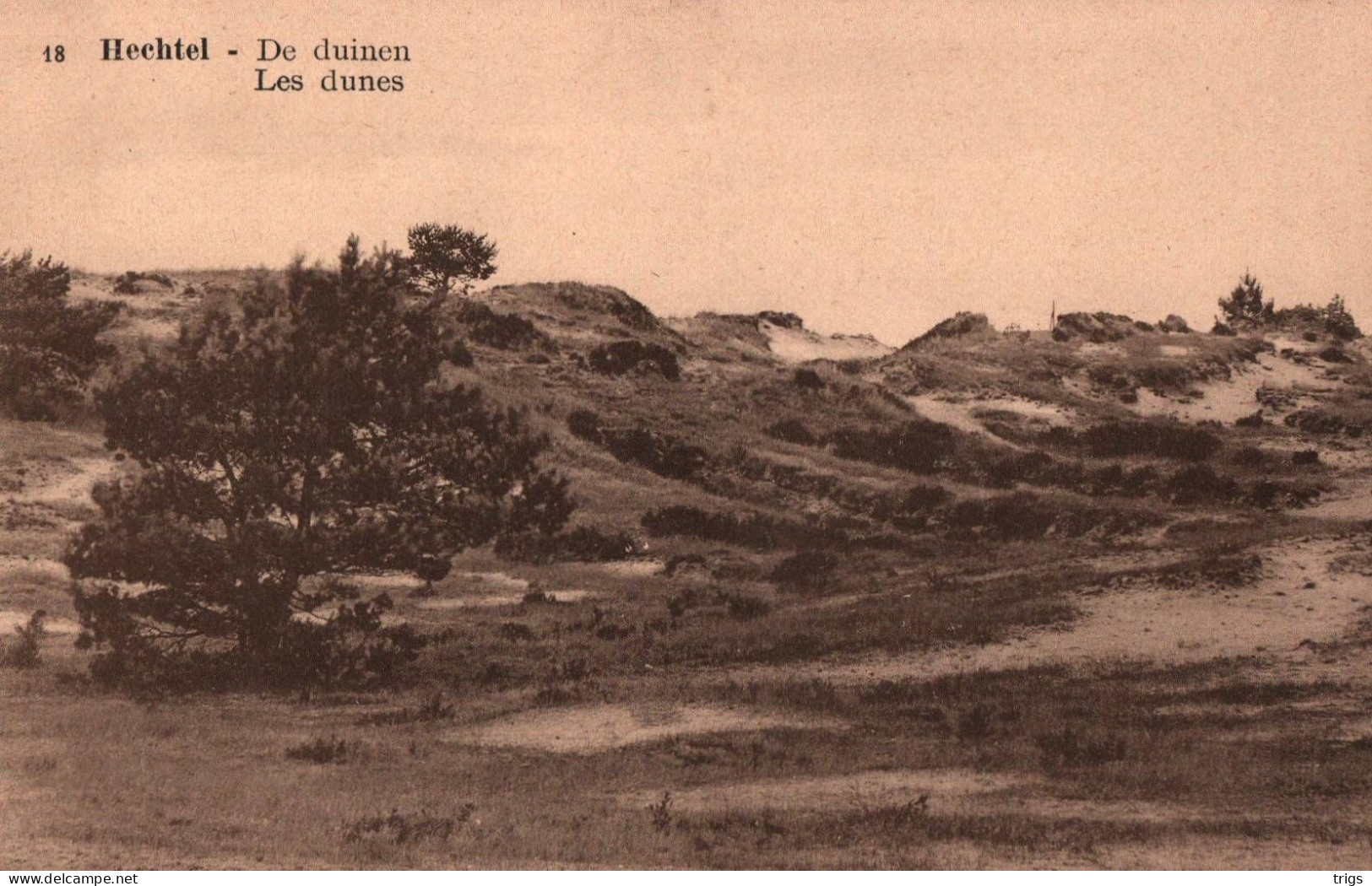 Hechtel - De Duinen - Hechtel-Eksel