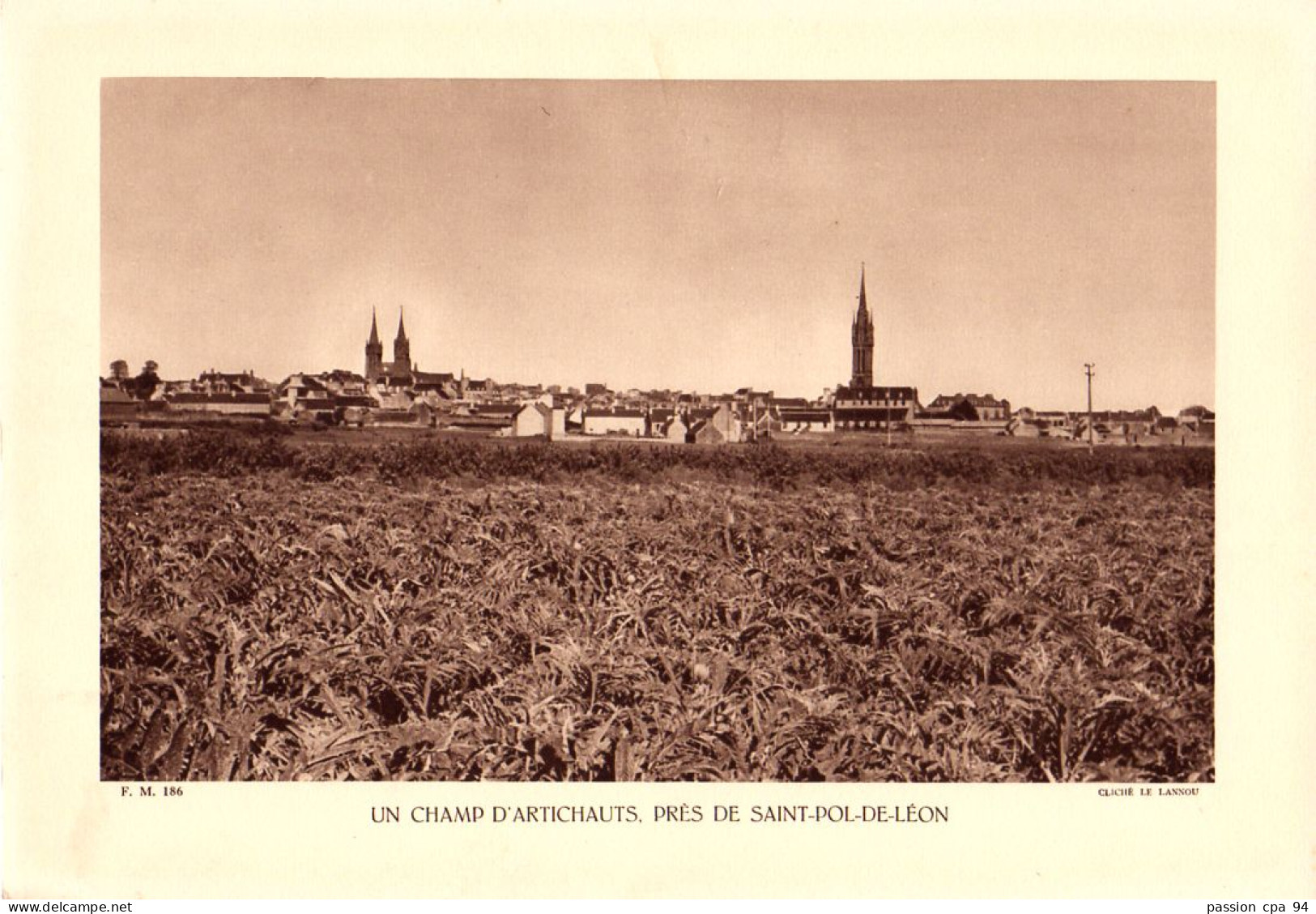 S10-013 Un Champ D'artichauts, Près De Saint-Pol-de-Léon - Places