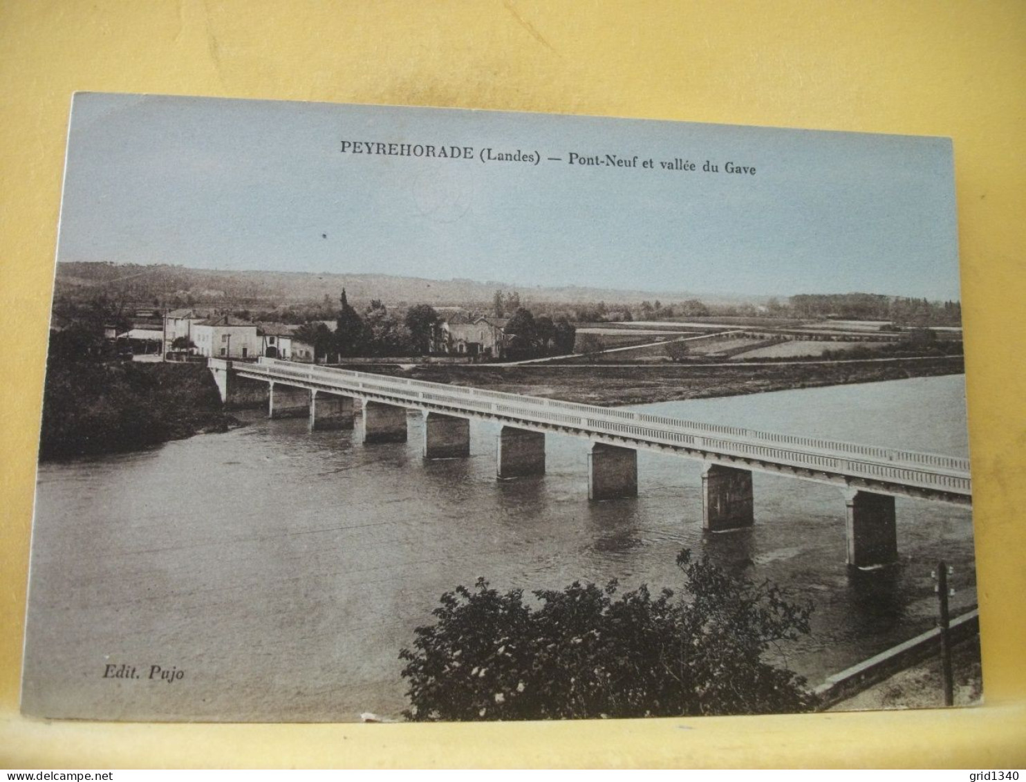 40 2625 CPA COLORISEE - 40 PEYREHORADE - PONT NEUF ET VALLEE DU GAVE. - Peyrehorade