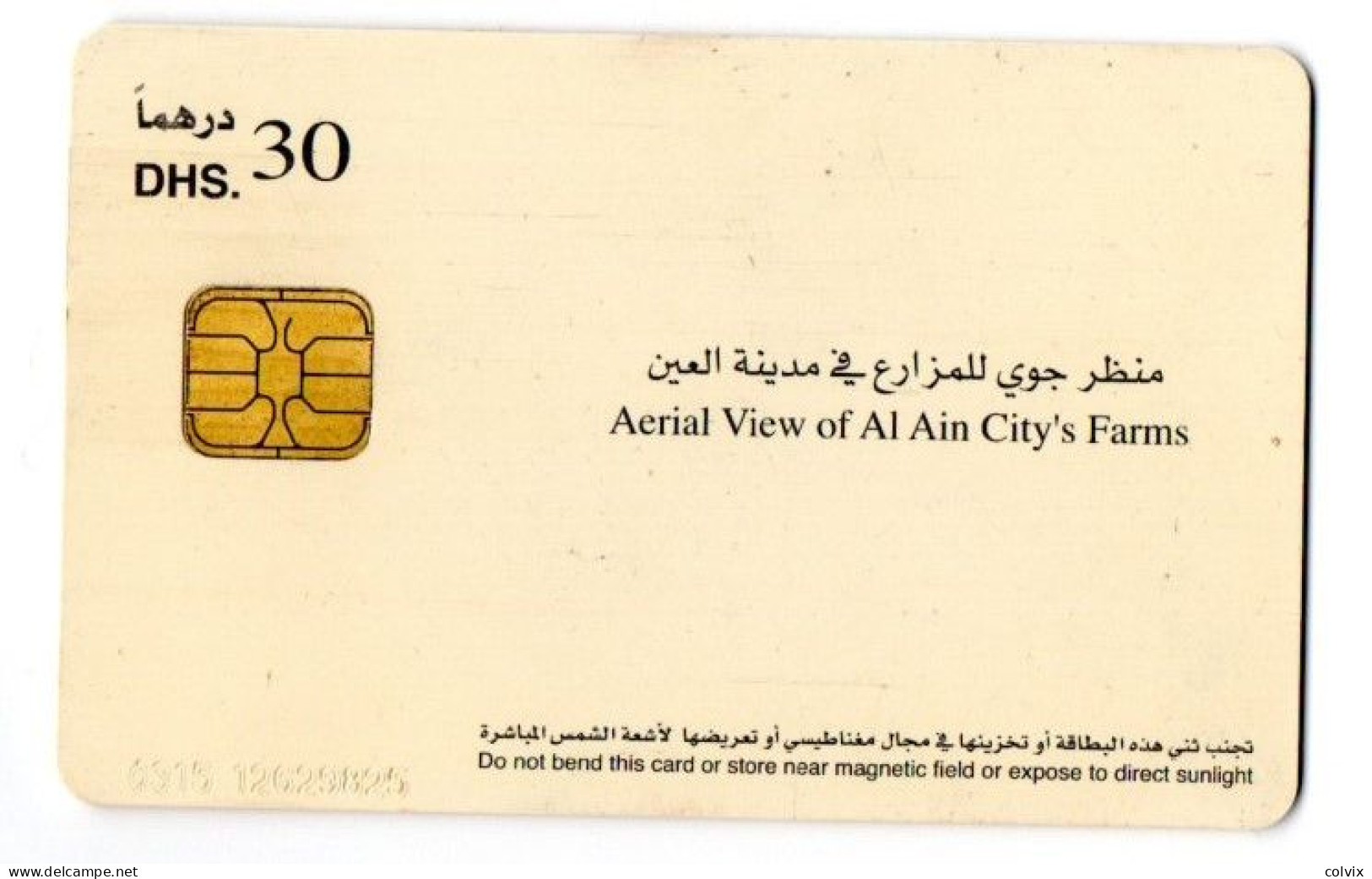 EMIRATS ARABES UNIS TELECARTE AL AIN CITY'S FARMS - United Arab Emirates